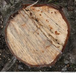 Photo Textures of Wood